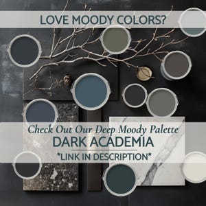 Peut inclure: Une collection de pots de peinture ronds aux couleurs sombres et nuanc&eacute;es, dispos&eacute;s autour d'une branche nue et de carreaux de pierre. Le texte indique : LOVE MOODY COLORS? Check Out Our Deep Moody Palette DARK ACADEMIA *LINK IN DESCRIPTION*