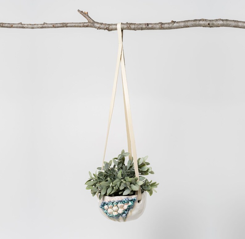 Mineralogy Hanging Planter image 2