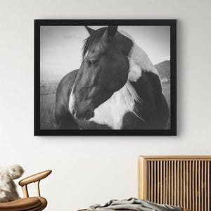 Horse Wall Art, Horse Photography, Horse Print, Wild Horse Photo, Printable Wall Art Instant Download, Digital Print, Animal Wall Decor