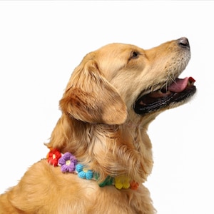 handgemachter Regenbogen Strick Katze Hund Blumen Pfoten Kragen