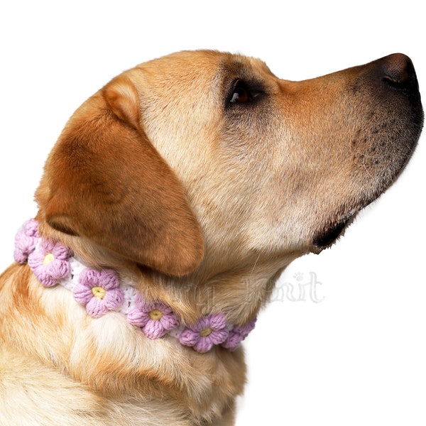 Knit Dog Collar Etsy
