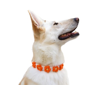 hecho a mano naranja punto gato perro flor paws collar