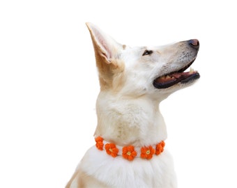 handmade orange knit cat dog flower paws collar