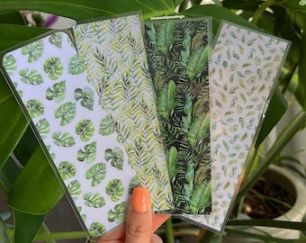 Summer Plants Collection