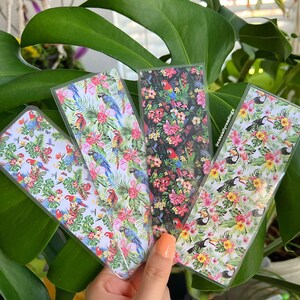 Summer Birds Collection