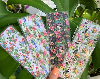 Summer Birds Collection