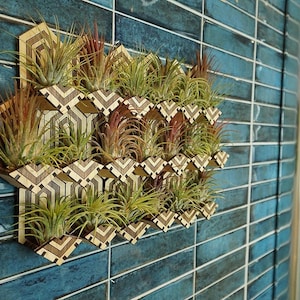 Living Wall Air Plant Holders! Geometric, Interlocking and Magnetic | 6 Pack