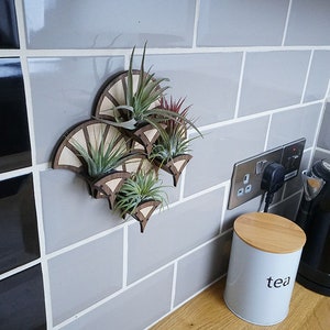 Living Wall Air Plant Holders! Geometric, Interlocking and Magnetic | 6 Pack