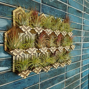 Air Plant Living Wall | Lasergesneden bestand digitale download DFX SVG voor Glowforge