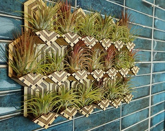 Air Plant Living Wall | Laser Cut File Digital Download DFX SVG for Glowforge