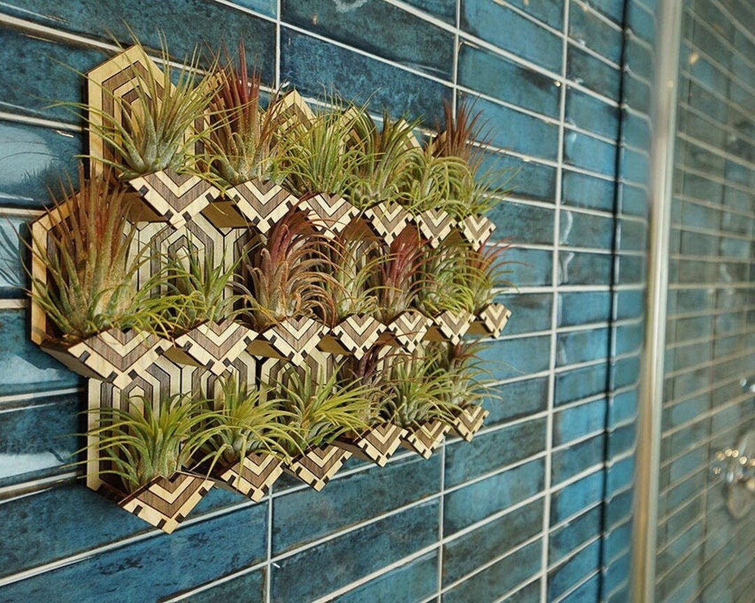 Living Wall Air Plant Holders Geometric, Interlocking and 6