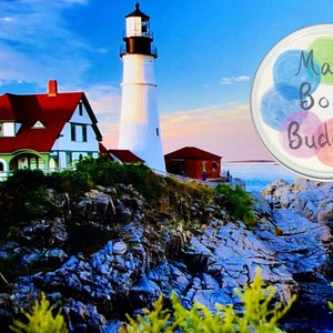 Maine Body Buddahh