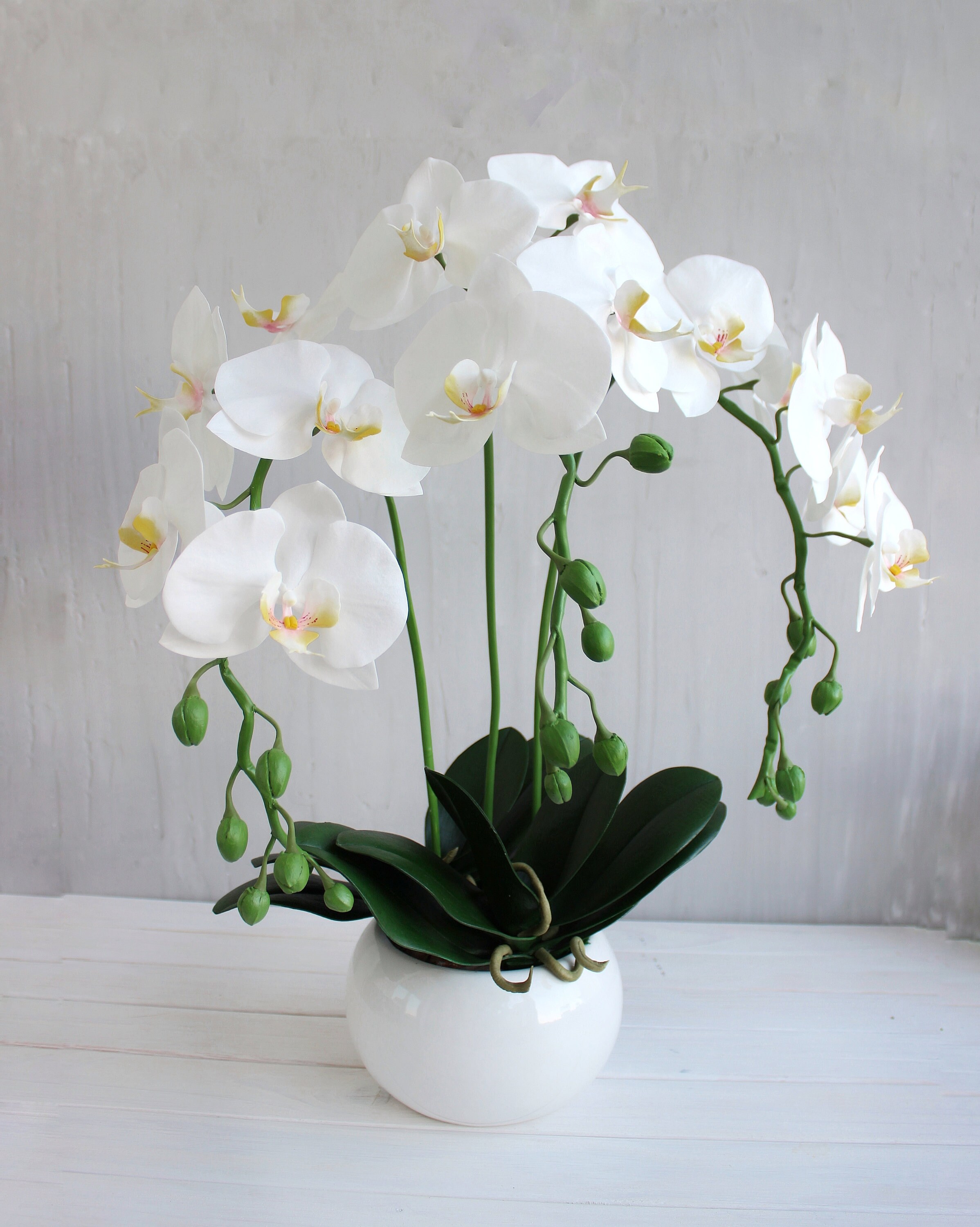 Faux white Orchids in ceramic pot fake flowers potted Etsy