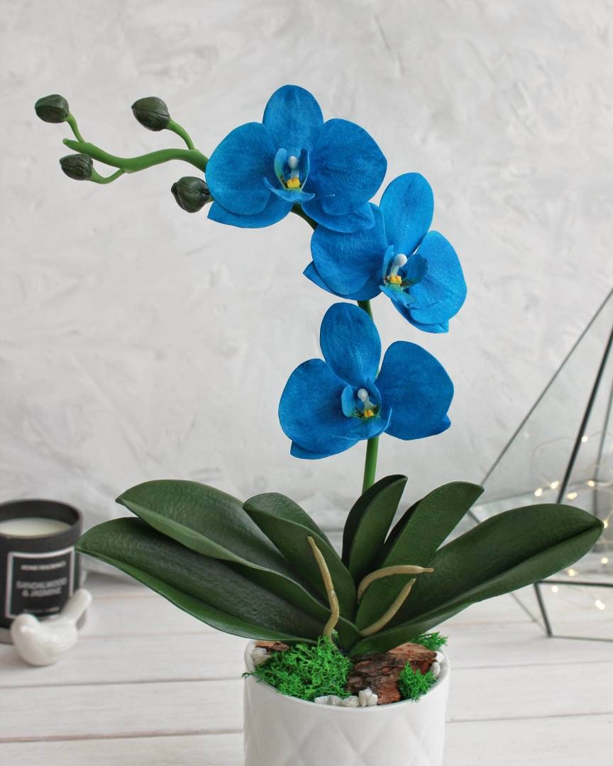 Faux Blue Orchids in pot fake flowers potted realtouch Etsy