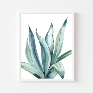Aloe Vera Art Print - Southwestern Wall Decor - Boho Succulent - Aloe in Watercolor - Medjool Studio Illustrations