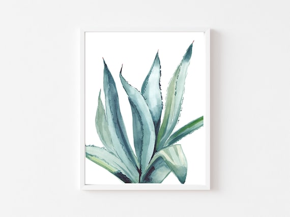 frisches aloe vera gel gesicht Aloe Vera Gel main image 0