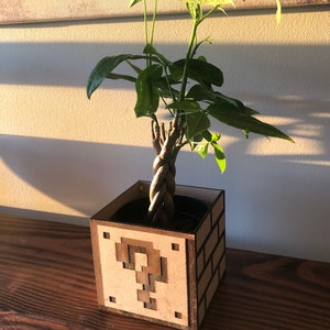 Münze Block Holz Pflanzer Box
