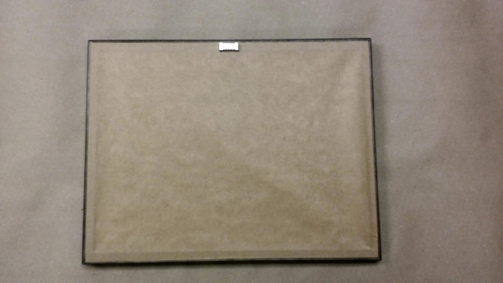 Pennant In Feltro 12x30 University Of South Dakota - Foto 4