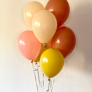 Neutral Colors Earth Tone Balloons Coral Blush Mustard Burnt Orange Balloons Birthday Party Bridal Shower Boho Desert Organic Tones