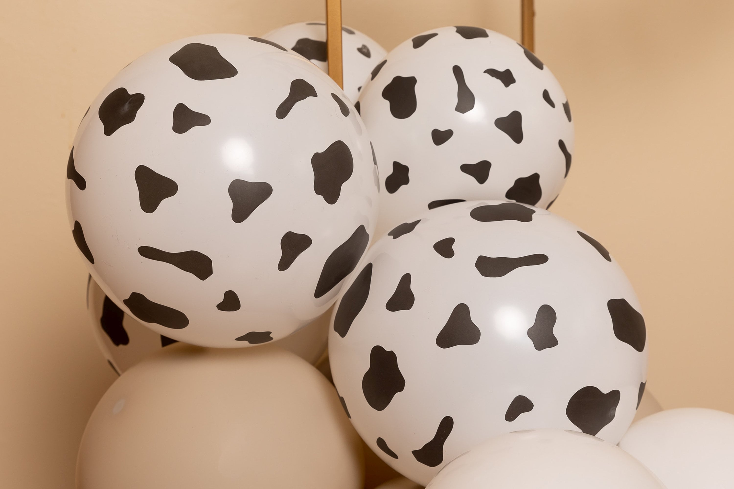Cow-Print Balloons Yee Haw! for Cowboy or Cowgirl Birthday | Farm Animal Baby Shower | Moo I'm Two | Barnyard Birthday | Farm Themed Party