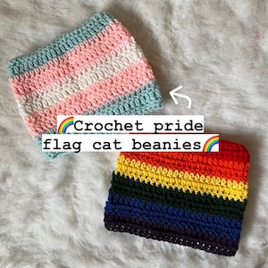 Custom Crochet Pride flag Cat Ear Beanies - Crocheted Striped Kitty ear hat - Cute Handmade Accessory