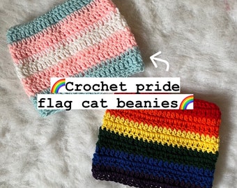 Crochet Striped Pride flag Cat Ear Beanies - Crocheted Kitty ear hat - Cute Handmade Accessory