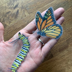 May include: Two transparent stickers: a monarch butterfly with orange, black, and white details, and a caterpillar with yellow, black, and white stripes. The butterfly has a wingspan of approximately 3 inches.