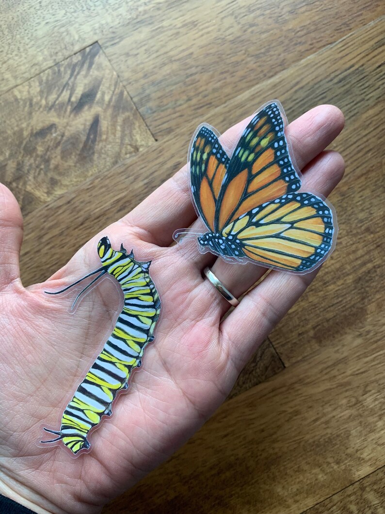 May include: Two transparent stickers: a monarch butterfly with orange, black, and white details, and a caterpillar with yellow, black, and white stripes. The butterfly has a wingspan of approximately 3 inches.