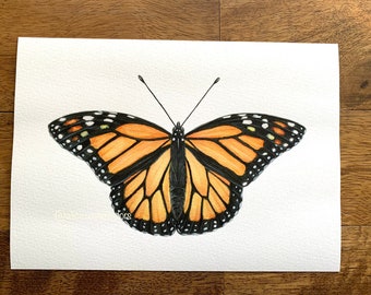 Monarch Butterfly painting Glicee print watercolor