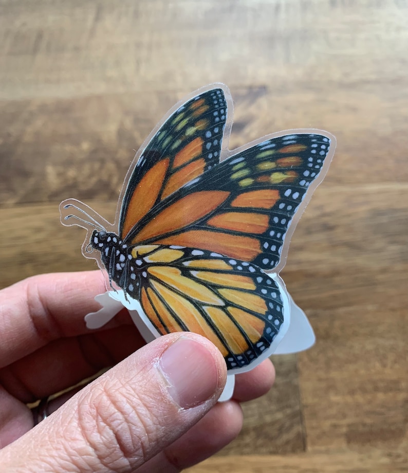 May include: A Monarch butterfly sticker with orange, black, and white details. The butterfly's wings are spread, showcasing intricate patterns and textures. The sticker is held by a hand, with a wooden surface in the background.
