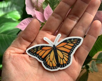 small monarch butterfly water and fade resistant vinyl sticker white background