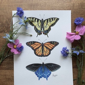 Swallowtail and Monarch trio painting print