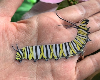 Clear Monarch caterpillar  sticker, water resistant