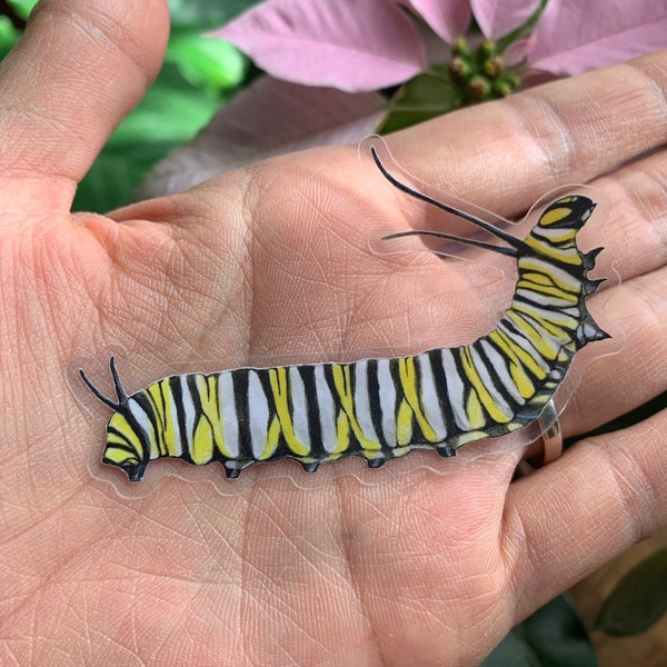 Clear Monarch caterpillar  sticker, water resistant