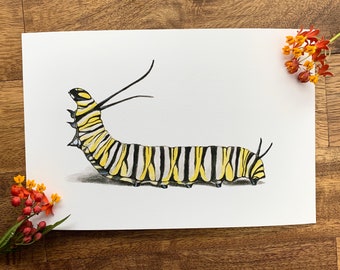 Monarch caterpillar watercolor painting Giclee print