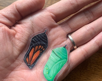 Monarch Chrysalis water resistant stickers