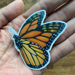May include: A colorful butterfly sticker with orange, black, yellow, and white details. The sticker features a detailed illustration of a monarch butterfly with its wings spread. The sticker is held in a person's hand.