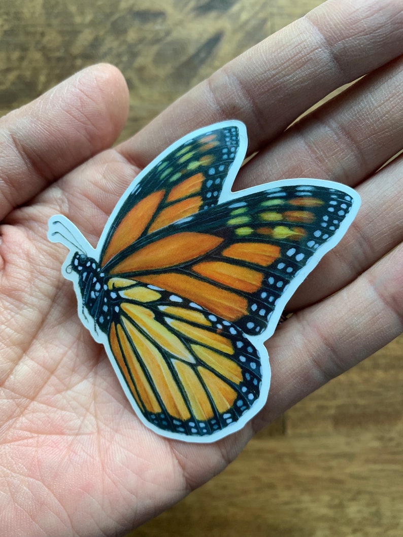 May include: A colorful butterfly sticker with orange, black, yellow, and white details. The sticker features a detailed illustration of a monarch butterfly with its wings spread. The sticker is held in a person's hand.
