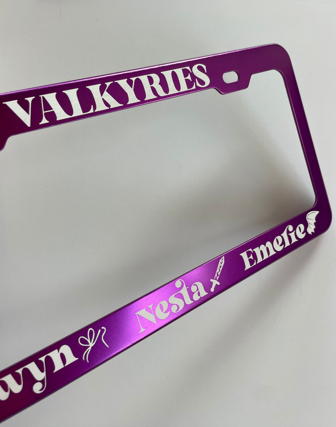 ACOTAR Valkyries License Plate Frames Car Accessories | Nesta, Emerie ...