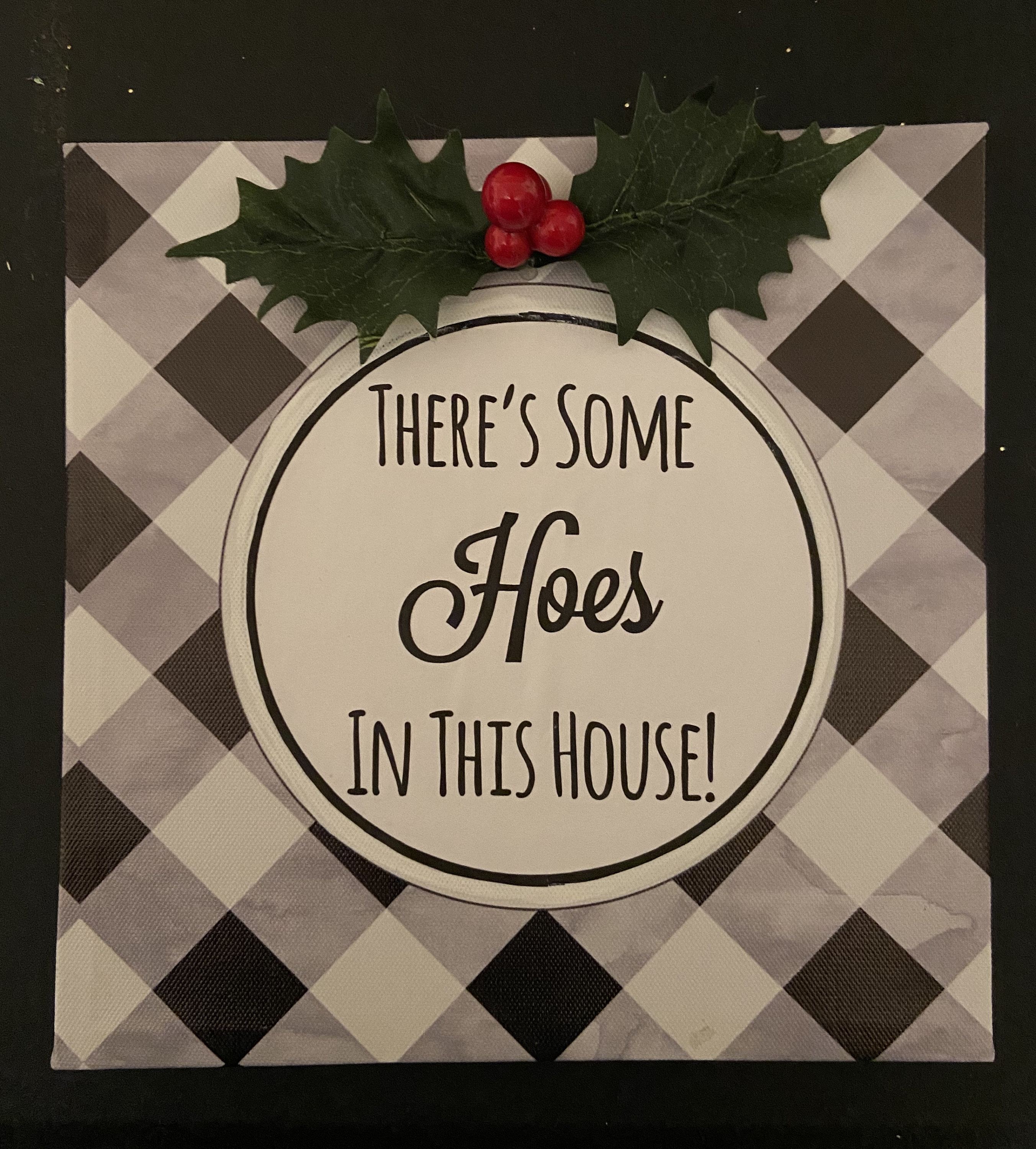 Theres Some Hoes In This House Etsy