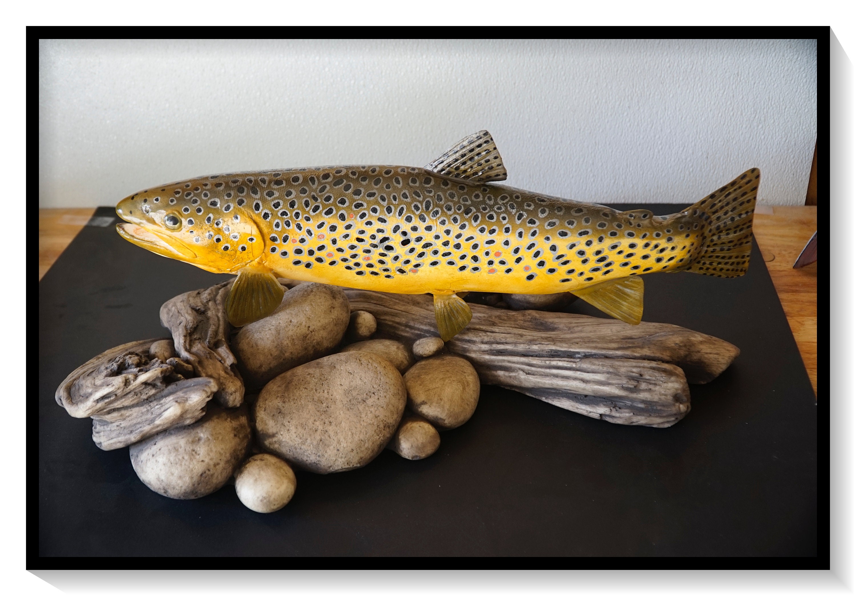 17 Brown Trout.360 Degree Table Top Trout. Hand Crafted Creation 