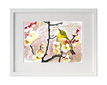 Gangesbrillenvogel weiße Blüten original Aquarell Gemälde Wandbehang