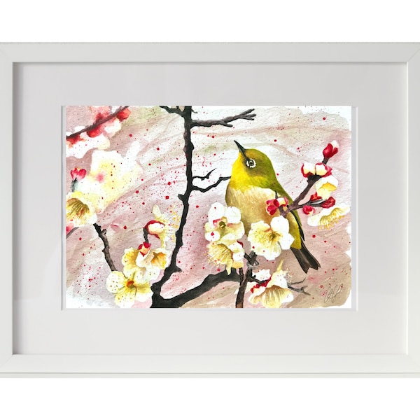 Gangesbrillenvogel weiße Blüten original Aquarell Gemälde Wandbehang