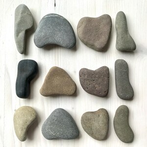 May include: An overhead shot displays a collection of smooth, naturally shaped stones in various shades of gray, brown, and beige. The stones are arranged on a white wooden surface, showcasing their unique forms, including heart and teardrop shapes.