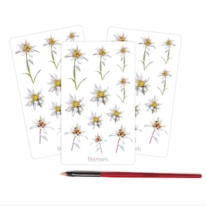Hoja de pegatinas fotorrealistas de flores de montaña Edelweiss para álbumes de recortes, diarios y sobres