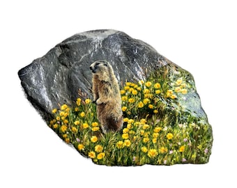 Marmota y flores alpinas amarillas - Paisaje alpino, motivo floral, pintura original sobre piedra natural, objeto de arte único (pieza única)