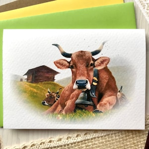 Biglietto di auguri con mucche che riposano, prato alpino, stampa con motivo fotorealistico