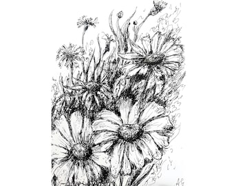 Original Daisy Pen Drawing: A4 Floral Botanical Sketch Art