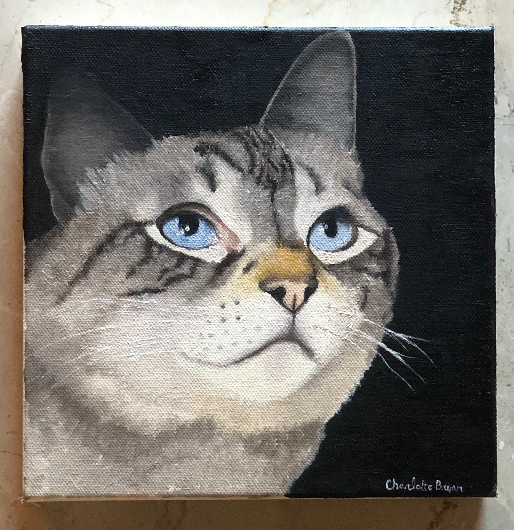 Olio ritratto di cane ritratto gatto dipinto a mano Etsy Italia