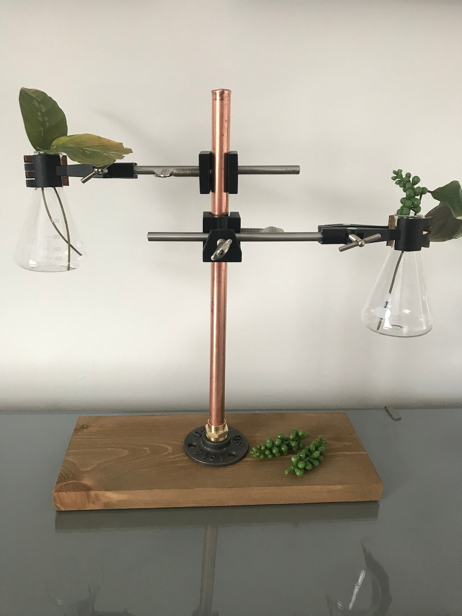 Test Tube Conical Flask Flower Vase Stand for Hydroponic Plant Etsy